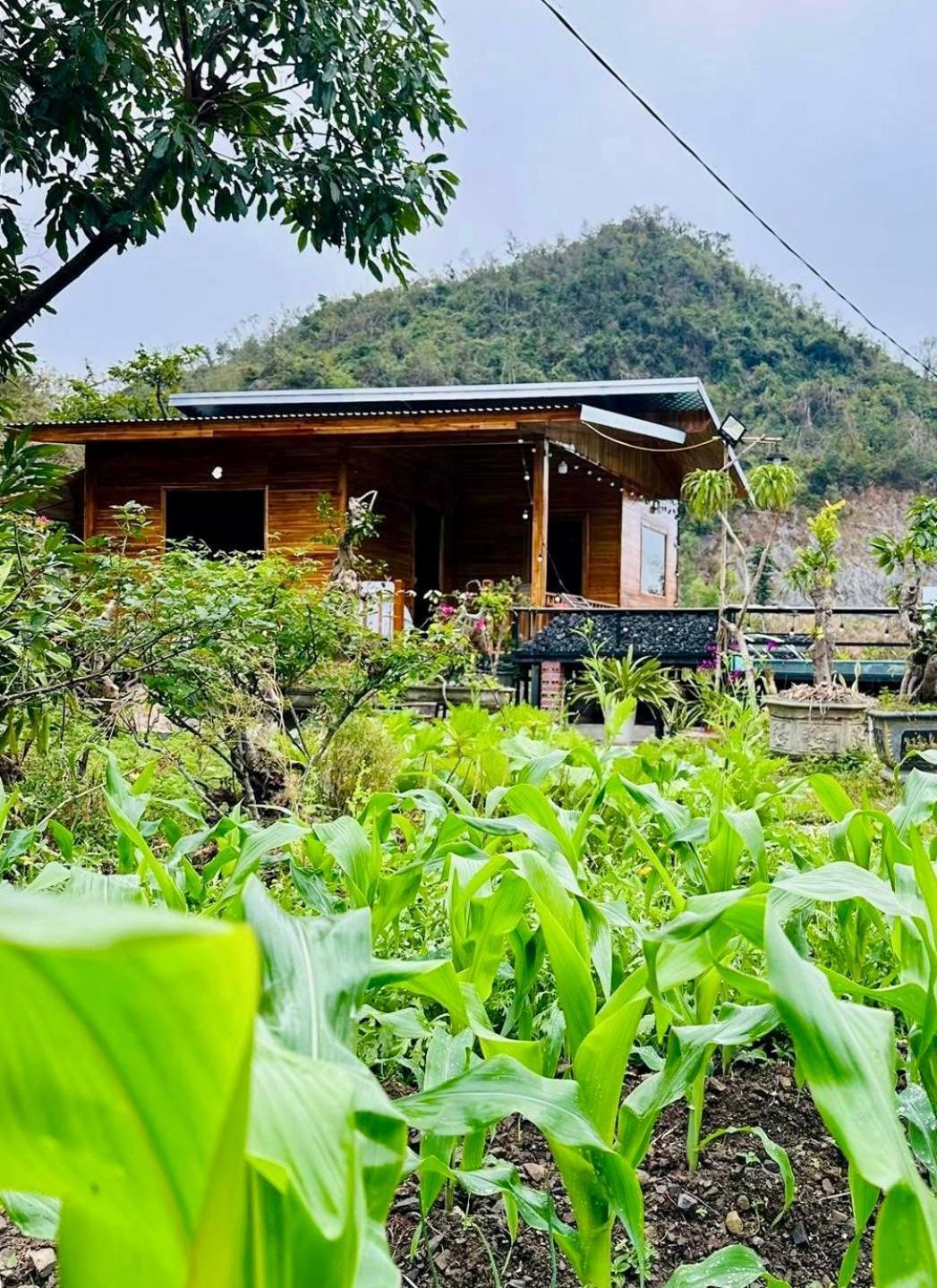 love house Xuan Dam Exteriér fotografie